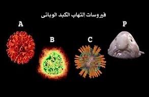 التهاب الكبد الفايروسي