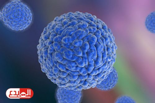 الحمى النزفية الفيروسية، الأعراض، الأسباب والعلاج