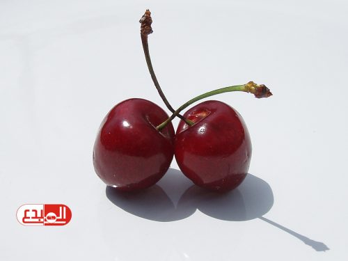 9 أطعمة تعيد الشباب إذا كنت تجاوزت الخمسين!