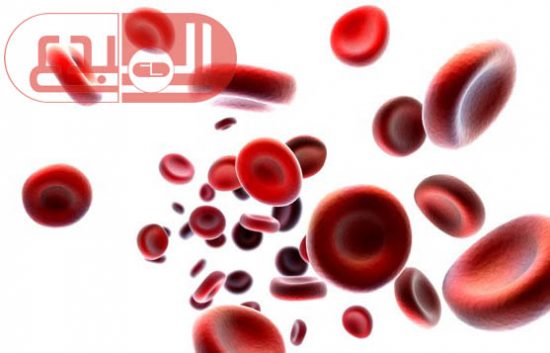 تعرف على المشاكل الصحية ونوع الرياضة والتغذية المناسبة لكل فصيلة دم