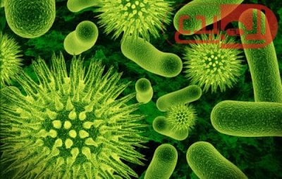 البكتيريا تهدد حياة الملايين في 2050
