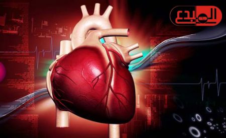 علماء يتوصلون إلى بروتينات تلعب دورا فى إصلاح تلف القلب