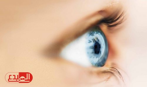 دراسة: اكتشاف بروتين طبيعي يساعد على منع تدهور البصر!