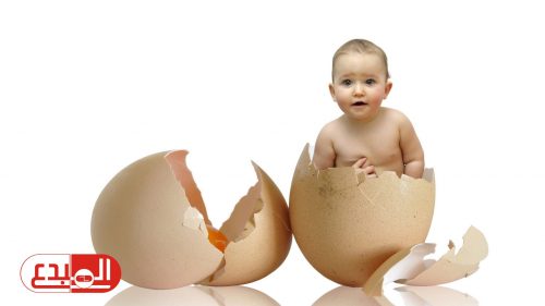 دراسة: بيضة واحدة يومياً تنمي دماغ طفلك وتحميه من التقزم