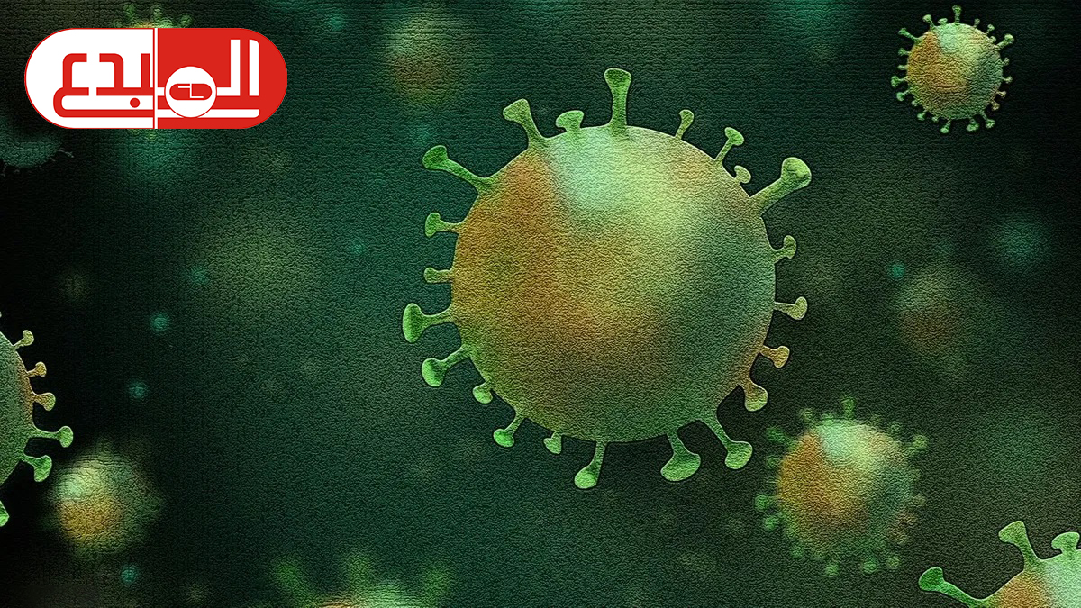 “هدف” آخر للفيروس التاجي المستجد