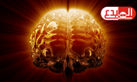 دراسة جديدة تحذر من “عامل هام” يمكن أن يمنع نمو الدماغ!